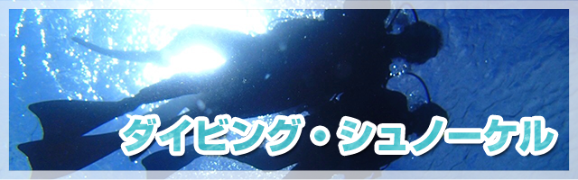 ダイビング・シュノーケル