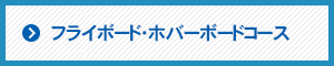 フライボードコース