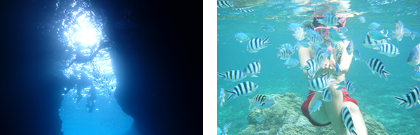 ダイビング・シュノーケル