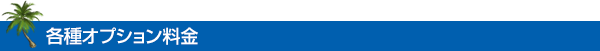 各種オプション料金